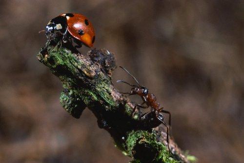 2010'a damga vuran av anları