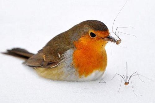 2010'a damga vuran av anları