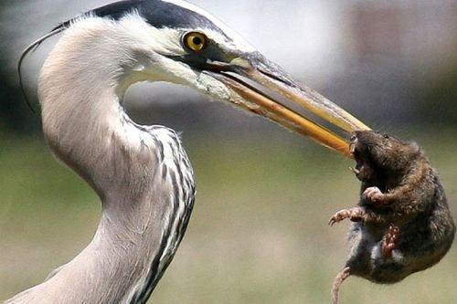 2010'a damga vuran av anları