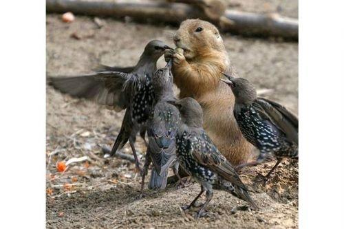 2010'a damga vuran av anları