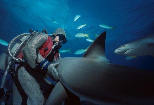 2010'a damga vuran av anları