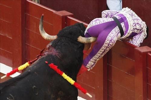 Reuters'tan yılın fotoğrafları- 2010 - Resim 7