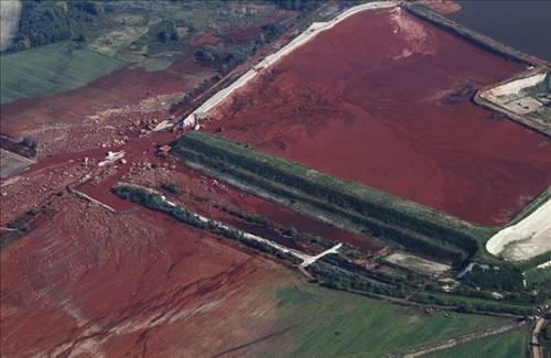Reuters'tan yılın fotoğrafları- 2010 - Resim 8