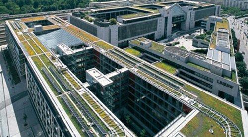 Çimen, apartman çatısında da olur - Resim 3