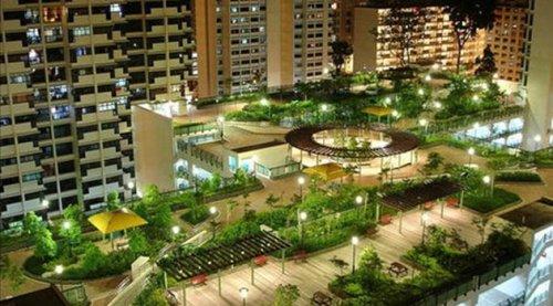 Çimen, apartman çatısında da olur - Resim 2