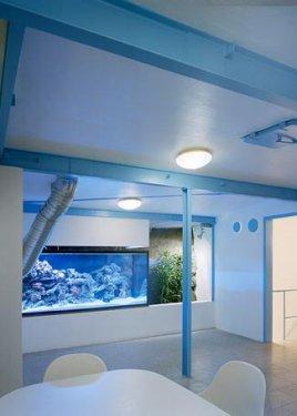 Dünyanın En İlginç  Ofisi yerin 30 Metre Altında - Resim 24
