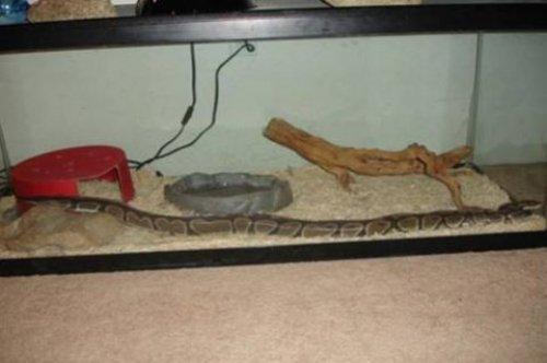 Türkiye'de yaygın olan batıl inanışlar