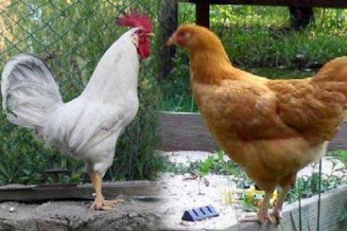 Türkiye'de yaygın olan batıl inanışlar