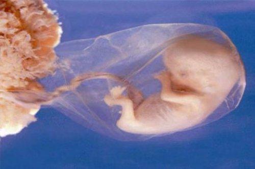 Türkiye'de yaygın olan batıl inanışlar