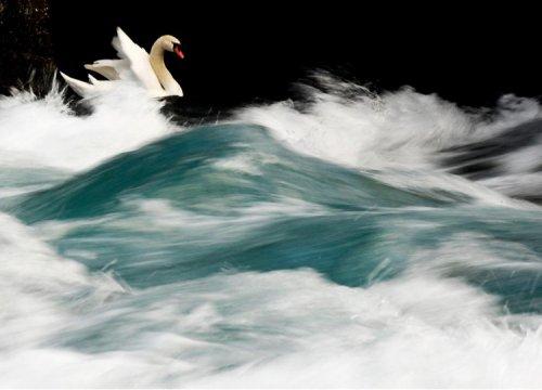 2010 senesine damga vuran fotoğraflar  - Resim 27
