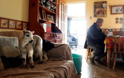 2010 senesine damga vuran fotoğraflar  - Resim 93