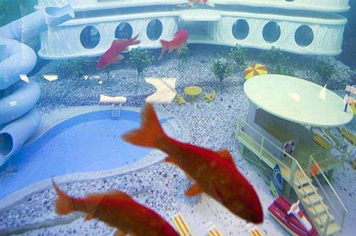 Son dönemlerin en ilginç icatları   - Resim 11