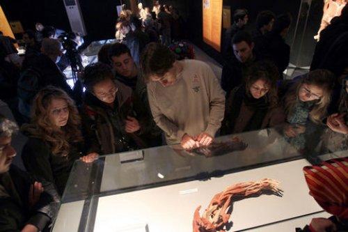 Body Worlds - Orjinal Vücut Dünyası  - Resim 2