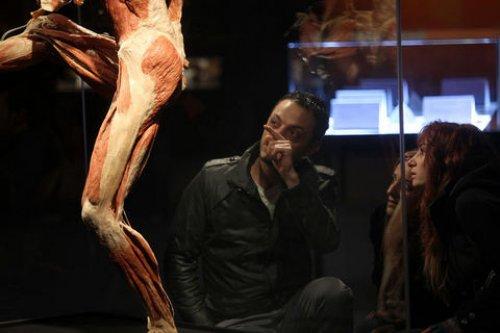 Body Worlds - Orjinal Vücut Dünyası  - Resim 25