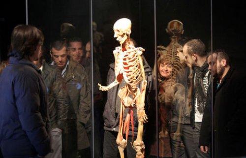 Body Worlds - Orjinal Vücut Dünyası  - Resim 22