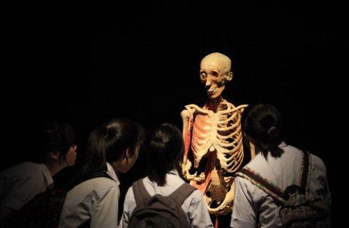 Body Worlds - Orjinal Vücut Dünyası  - Resim 3