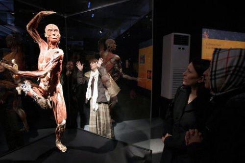 Body Worlds - Orjinal Vücut Dünyası  - Resim 12