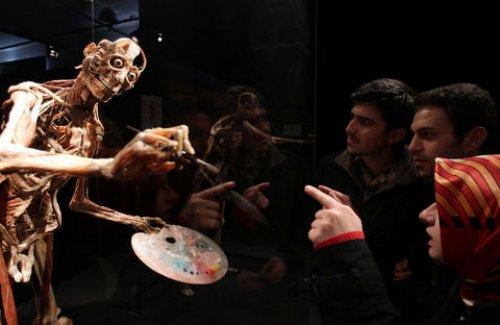 Body Worlds - Orjinal Vücut Dünyası  - Resim 5