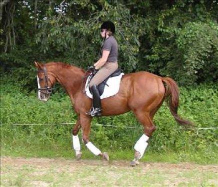 Düşündüren Çin atasözleri