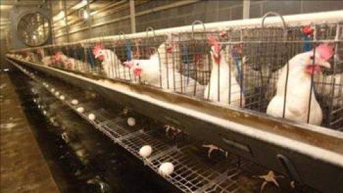 Düşündüren Çin atasözleri