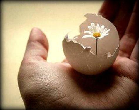 Düşündüren Çin atasözleri