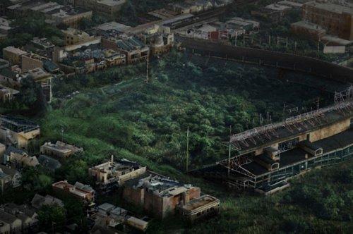 İnsandan sonra dünya - Resim 11