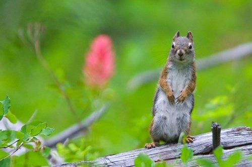 Tabiat anadan 50 güzel kare