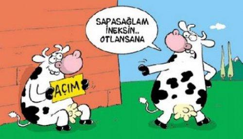 2010'a damga vuran 99 karikatür - Resim 75
