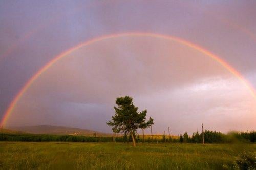 Tabiat anadan 50 güzel kare