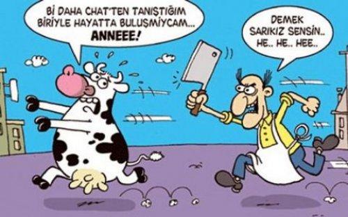 2010'a damga vuran 99 karikatür - Resim 90
