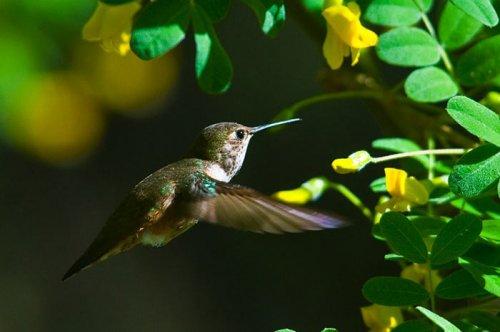 Tabiat anadan 50 güzel kare