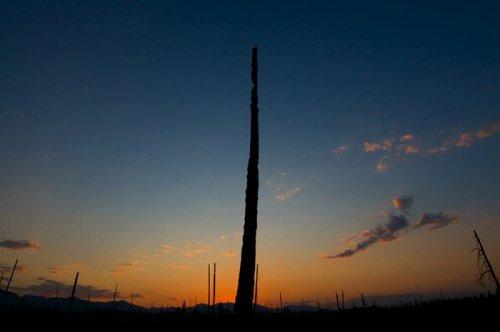 Tabiat anadan 50 güzel kare