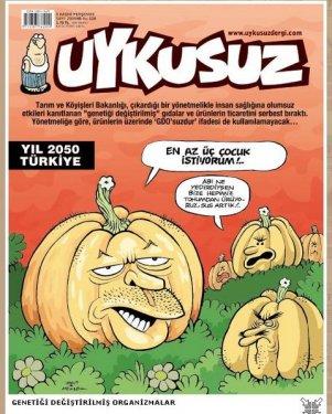 2010'a damga vuran 99 karikatür - Resim 25