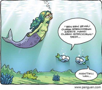 2010'a damga vuran 99 karikatür - Resim 67