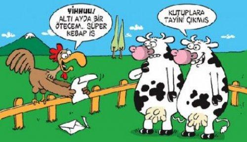 2010'a damga vuran 99 karikatür - Resim 85