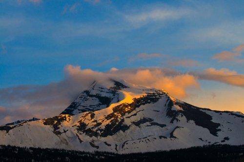 Tabiat anadan 50 güzel kare