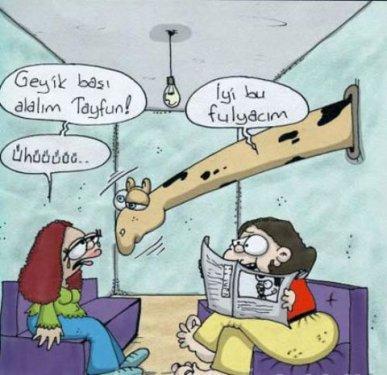2010'a damga vuran 99 karikatür - Resim 74