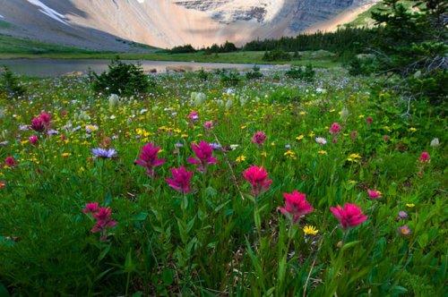 Tabiat anadan 50 güzel kare