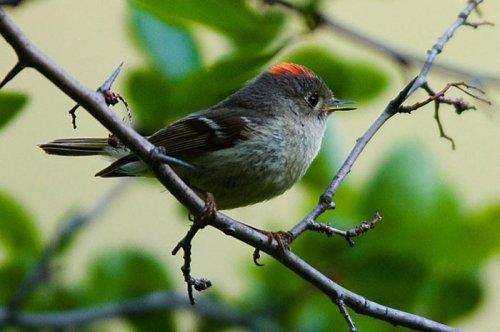 Tabiat anadan 50 güzel kare