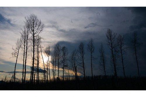 Tabiat anadan 50 güzel kare