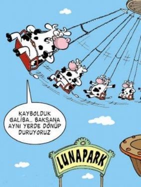 2010'a damga vuran 99 karikatür - Resim 84
