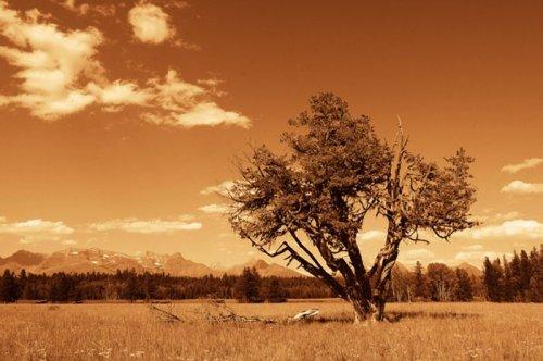Tabiat anadan 50 güzel kare