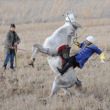 Ciritçinin atı şaha kalkınca.. - Resim 2