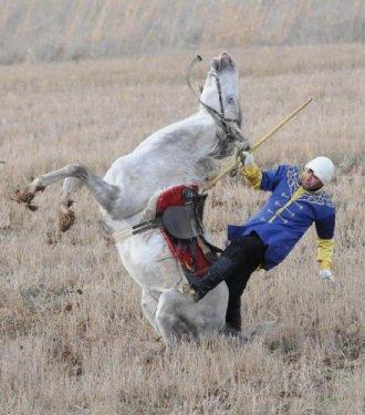 Ciritçinin atı şaha kalkınca.. - Resim 15
