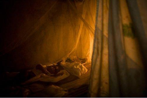 Times 2010-Yılın Fotoğrafları - Resim 14