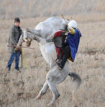 Ciritçinin atı şaha kalkınca.. - Resim 1
