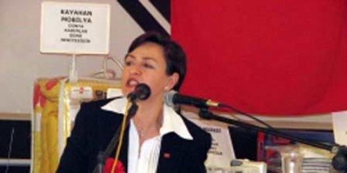 CHP'nin yeni yüzleri - Resim 19