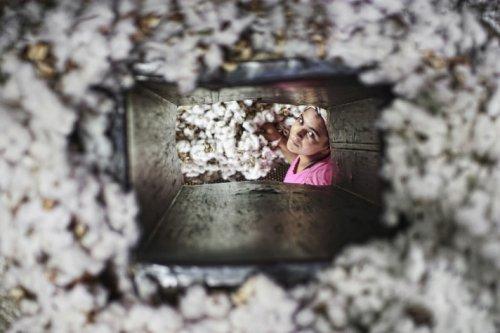 2010 yılına imza atan AA fotoğrafları - Resim 51