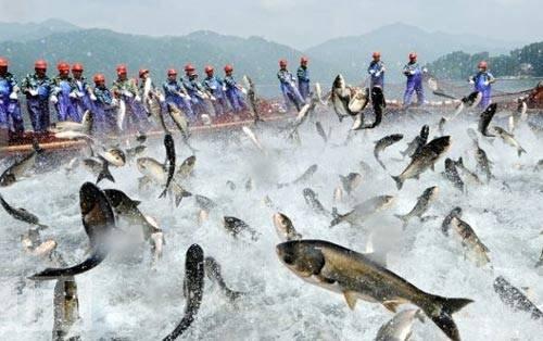 100 Fotoğrafla 2010 yılı