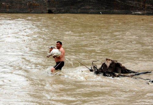 2010 yılına imza atan AA fotoğrafları - Resim 40